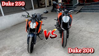 2024 KTM Duke 250 Vs Duke 200 Comparison  Which is Best Ktm duke 250 vs duke 200 [upl. by Ivette]