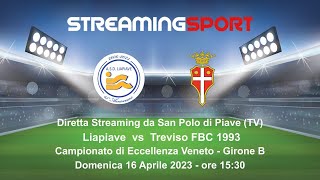 LIAPIAVE vs TREVISO FBC 1993 [upl. by Leahcimnaes]