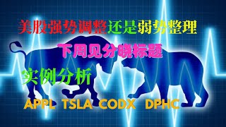 美股强势调整还是弱势整理下周见分晓 APPL TSLA CODX DPHC下周走势分析 【第79期09122020】 [upl. by Maryjo43]