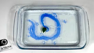 🔴9 Experimentos Fáciles Caseros y Aptos para Niños 💡Inventos Caseros [upl. by Beckerman]