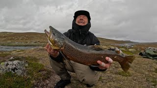 Fluefiske på Hardangervidda 2024 [upl. by Mirielle]