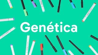 GENÃ‰TICA LEIS DE MENDEL GENES DNA E CROMOSSOMOS  QUER QUE DESENHE [upl. by Yttiy92]