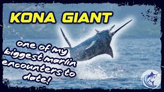 GIANT 900 lb Blue Marlin  One of my Biggest  Waterman S05E04  Visions of Granders [upl. by Stoops]