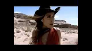 Anna Vissi  Alitissa Psixi Official Video [upl. by Bristow]