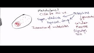 Metabolome [upl. by Oicnerolf466]