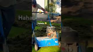 Mowing the grass 😂 [upl. by Couq265]