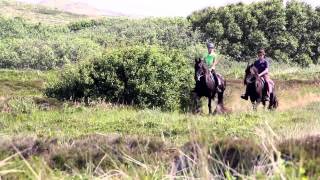 Puur Terschelling [upl. by Inafit]