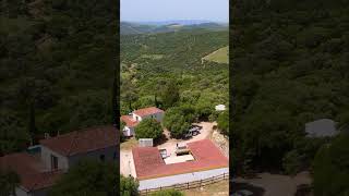 18600950P  Country Mansion with Equestrian Facilities Villas amp Fincas Andalusia Southern Spain [upl. by Eirehc]