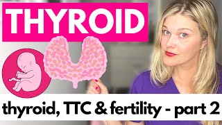 THYROID amp FERTILITY Part 2  Trying to Conceive Fertility Pregnancy and Miscarriage [upl. by Ehudd]