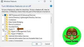 How to Enable Hyper V on Windows 11 [upl. by Mayram]