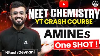 Amines Class 12 One Shot  Organic Chemistry  NEET 2024  Nitesh Devnani [upl. by Eissirk202]