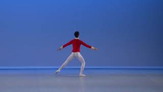 António Ferreira 205  Prix de Lausanne 2019 classical [upl. by Rowena]