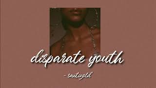 disparate youth  santigold slowed  reverb [upl. by Eneli317]