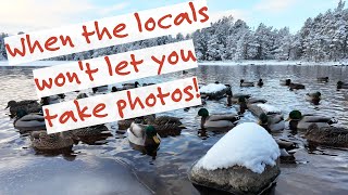 Battling with the LOCALS in the Cairngorms [upl. by Eema68]