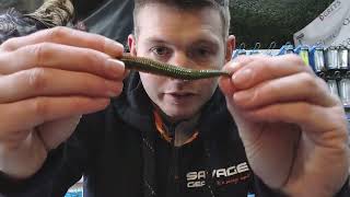 New Gulp Ragworm For Bait amp Lure Fishing [upl. by Dwan]