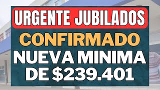 CONFIRMADO AUMENTO por DNU  BONO en ABRIL 2024 a JUBILADOS y PENSIONADOS Anses [upl. by Fried]