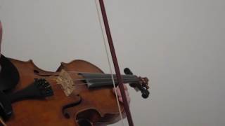 Syncopated Emphasis for Reels 12312312  Free Fiddle Lesson [upl. by Shandeigh]