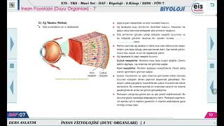 Mavi Set Biyoloji 2  İnsan Fizyolojisi Duyu Organları  7 🔬 [upl. by Studner898]