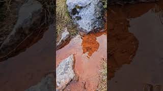 Red water source on Grimmialp in Swiss Alps [upl. by Aicirtal]