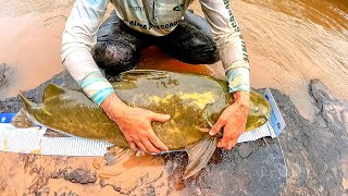 JAÚ GIGANTE NA ARTIFICIAL  RIO AQUIDAUANA [upl. by Yuht]