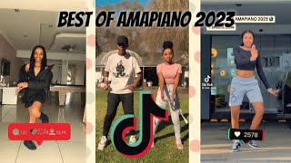 Best of TikTok amapiano dances 2023 [upl. by Amilah]