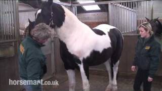 How to assess a show cob for feeding [upl. by Nedlog476]