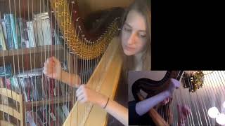 Pozzoli 2 Allegro Deciso  Harp Etude [upl. by Yaras]