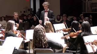 Schumann Symphony 4 in D minor  mov I [upl. by Ayrotal381]