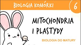 Cytologia 6  Mitochondria chloroplasty i inne plastydy  biologia do matury liceum [upl. by Higginbotham]