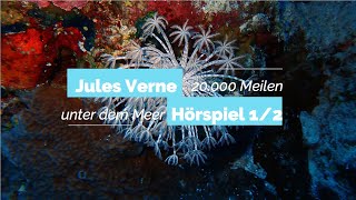 Jules Verne  20000 Meilen unter dem Meer 12  Blackscreen Einschlafen [upl. by Gunthar]