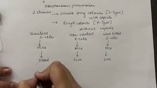 Transforming Principle class 12 biology  Molecular basis of inheritance Important topic CBSE [upl. by Eirrol]