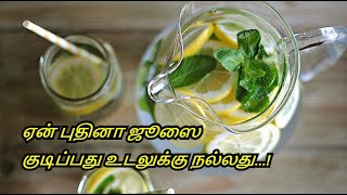 Ginger Mint Lemon Juice In Tamil  Refreshing Juice  Benefits from Lemon amp Mint Tea [upl. by Cone]