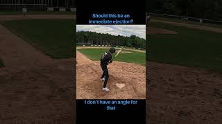 18u i try my best to never eject players baseball umpire sports michigan [upl. by Alroi785]