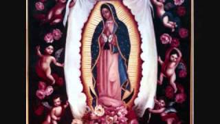 MAÑANITAS GUADALUPANAS JILGUERILLASwmv [upl. by Davenport]