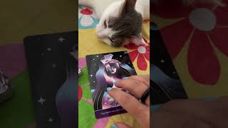 BU İLİŞKİYE DAİR ALMAM GEREKEN NEDİR BANA MESAJI NE MİNİ TAROT tarot shortsvideo [upl. by Oralle]