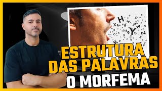 Estrutura das palavras os morfemas do português português morfema estruturadepalavras [upl. by Ahcsropal]