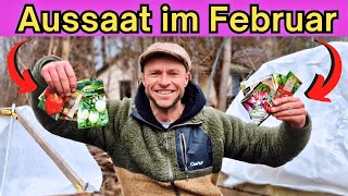 11 Gemüse die Du im FEBRUAR säen kannst 🌱  Aussaat im Frühbeet [upl. by Hadrian]