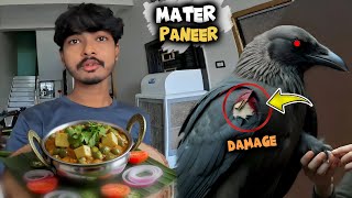 आज मैंने बनाया 5 Star वाला मटर पनीर की सब्जी । Ye crow ka wings Damage Ho gya [upl. by Ynohtnaeoj]