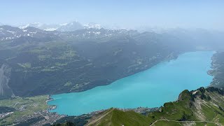 hundestrand  besonderes für vier Pfoten Juni 2022 Schweiz Brienzersee Aaregg Campingplatz [upl. by Ware]