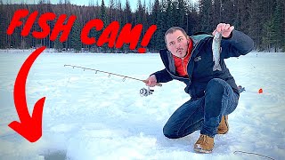 ICE FISHING in Washington State Trout Catch amp Cook Adventure w UNDERWATER FOOTAGE [upl. by Nessah188]