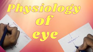 Physiology of eyeall about physiology of eyeall about eyeexplain physiology of eyeexplain eye [upl. by Lohse]