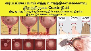 cervix dilation chart in tamil symptoms of cervix opening during pregnancycervix dilation symptoms [upl. by Nwahsiek]