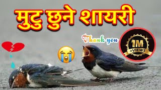 Heart Touching Nepali Shayari  Nepali Poetry  Nepali Shayari  Part1  Narayan Ale [upl. by Dawna586]