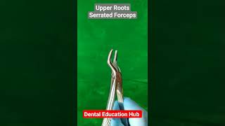 Upper Roots Serrated Forceps  Bayonet forceps [upl. by Cathi]