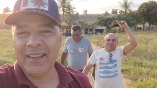 COMUNIDADE DOS CASSIANOS MEDEIROS NETO BAHIAEM BUSCA DE COMER UMA GALINHA CAIPIRA [upl. by Emeric]