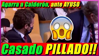 ✅Pablo Casado RABIOSO ante Isabel AYUSO [upl. by Krute]