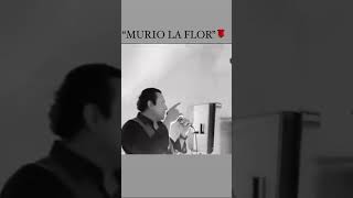 “Murió la flor “🎤 [upl. by Parsifal]