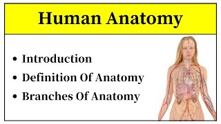 Anatomy Introduction In Hindi  Definition Of Anatomy And Its Division  What Is Anatomy In Urdu [upl. by Annaigroeg791]