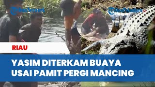 Kronologi Warga di Rohil Riau Diterkam Bauya Saat Mancing Tubuh Korban Ditemukan Tak Utuh [upl. by Nicolais]