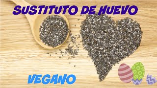 Sustituto De Huevo  Receta  100 Vegano [upl. by Dawson408]